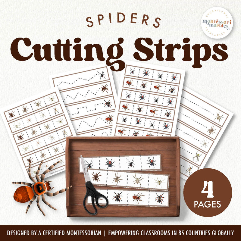 Spider cutting strips for fine motor skill practice and arachnid study