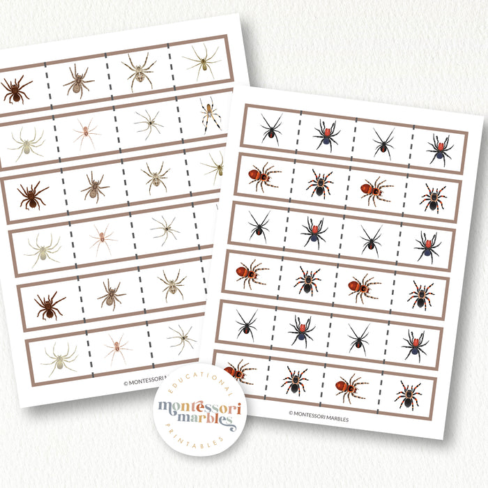 Spiders Cutting Strips