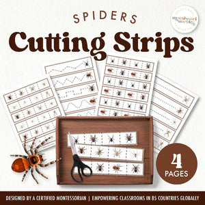 Spiders Cutting Strips