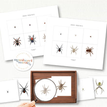 Load image into Gallery viewer, Spiders Magni-Match
