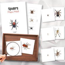 Load image into Gallery viewer, Spiders Magni-Match
