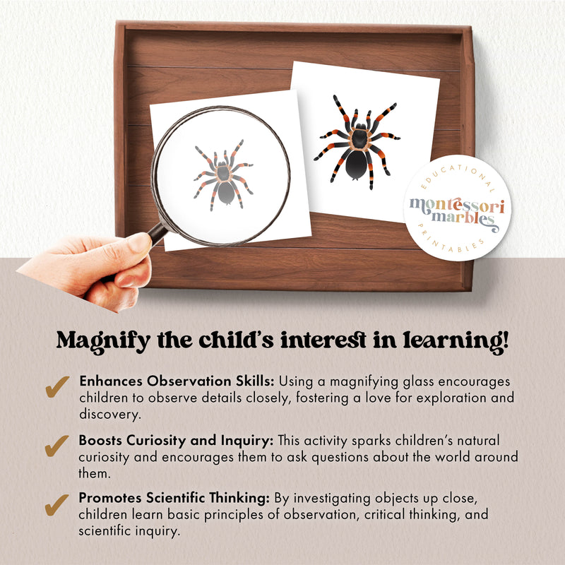 Spiders Magni Match
