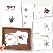 Load image into Gallery viewer, Spiders Magni-Match
