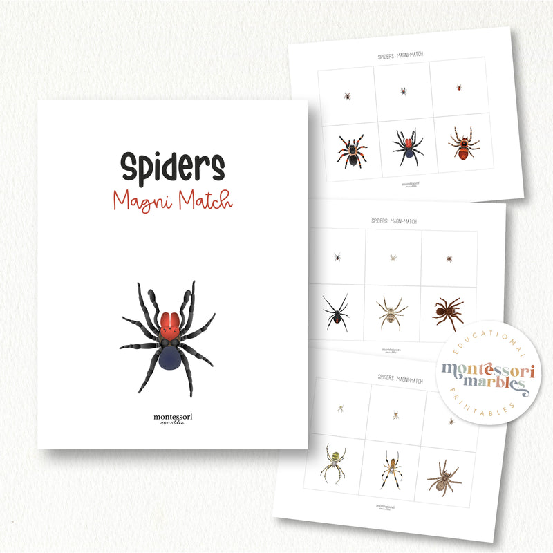 Spiders Magni Match