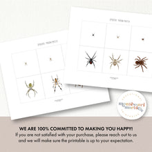 Load image into Gallery viewer, Spiders Magni-Match
