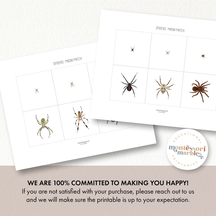 Spiders Magni-Match