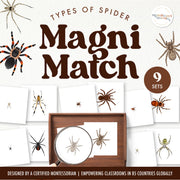 Spiders magnifying match for arachnid observation