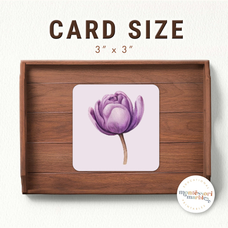 Spring Objects Size Sorting