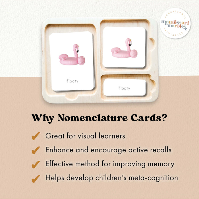 Summer Nomenclature Cards