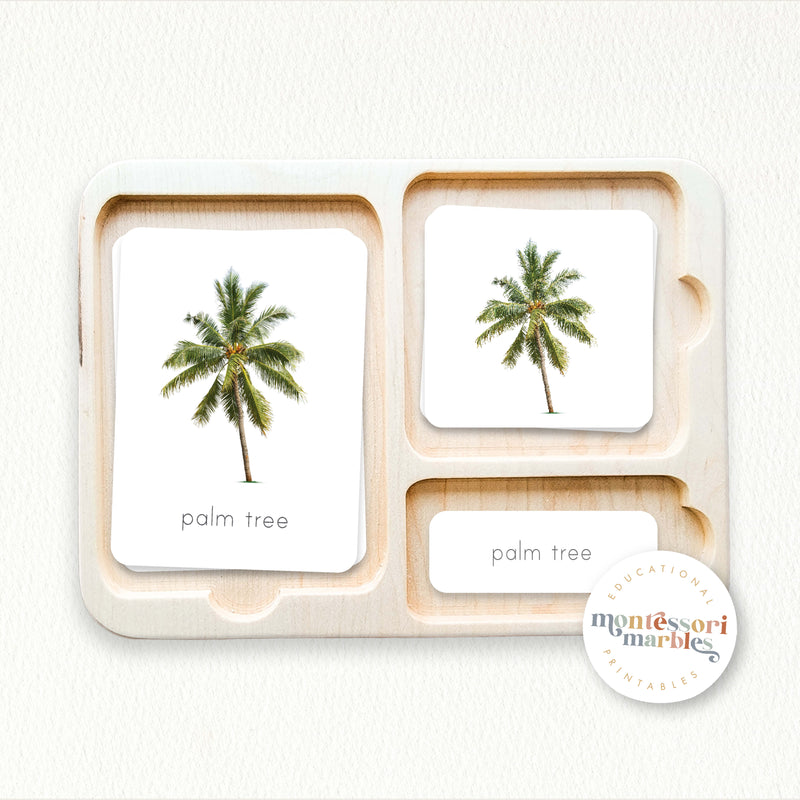 Summer Montessori 3-Part Cards