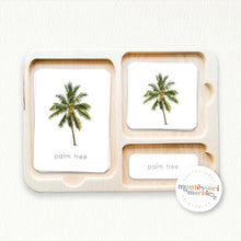 Load image into Gallery viewer, Summer Nomenclature Cards
