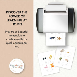Summer Nomenclature Cards