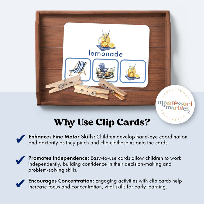 Summer Picture Matching Clip Cards | Montessori Visual Skills Activity for Ages 3-6