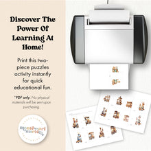 Load image into Gallery viewer, Train Two-Piece Puzzles
