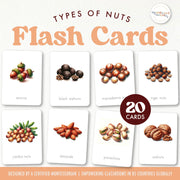 Nuts and seeds flash cards for gardening and food identification — ages 3-6