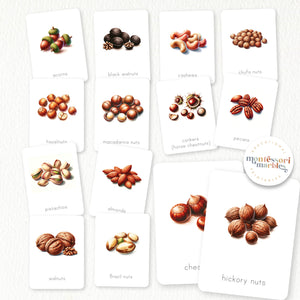 Types of Nuts Flash Cards