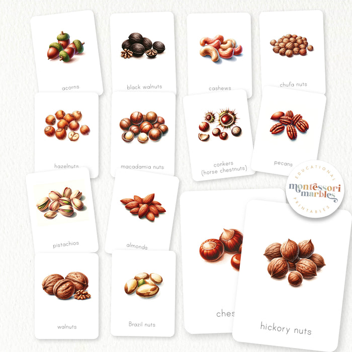 Types of Nuts Flash Cards