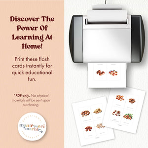 Types of Nuts Flash Cards