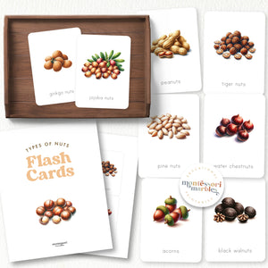Types of Nuts Flash Cards