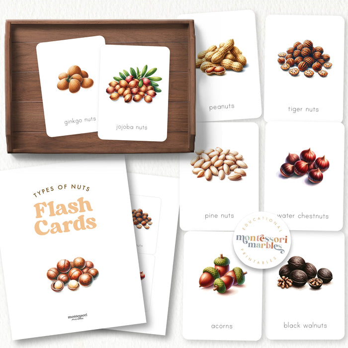Types of Nuts Flash Cards