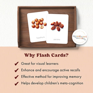 Types of Nuts Flash Cards