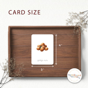 Types of Nuts Flash Cards