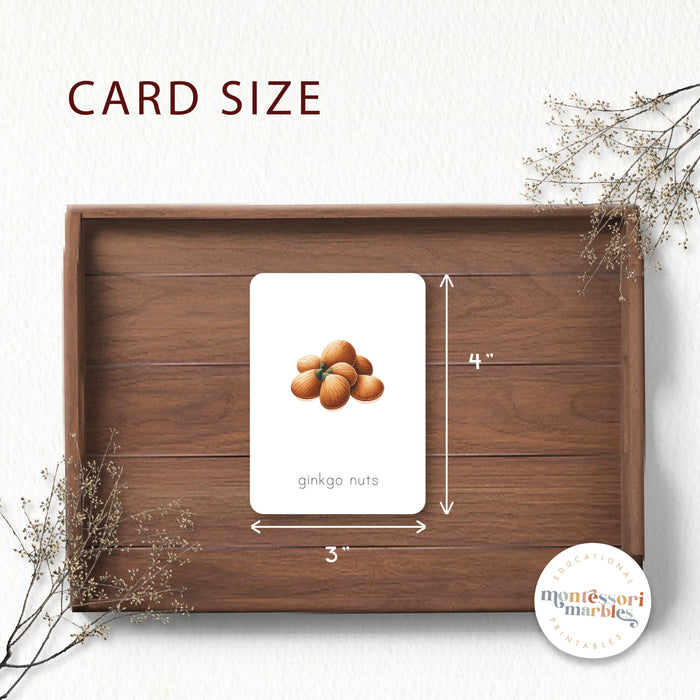Types of Nuts Flash Cards