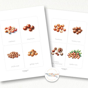 Types of Nuts Flash Cards