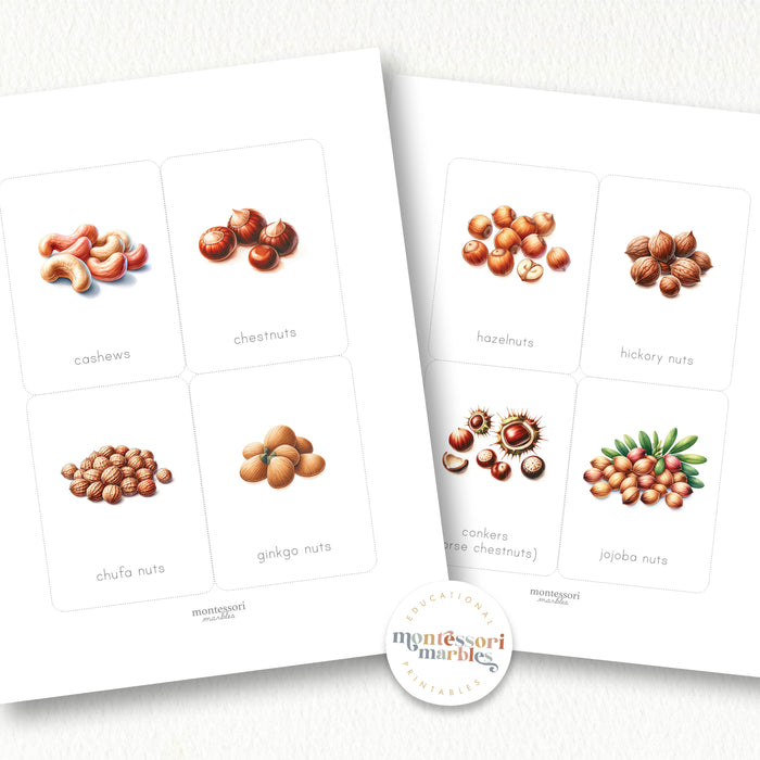 Types of Nuts Flash Cards