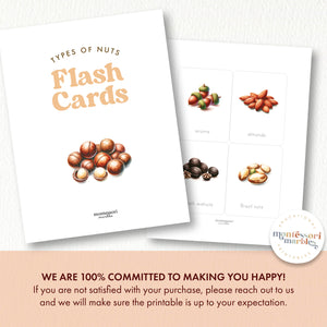 Types of Nuts Flash Cards