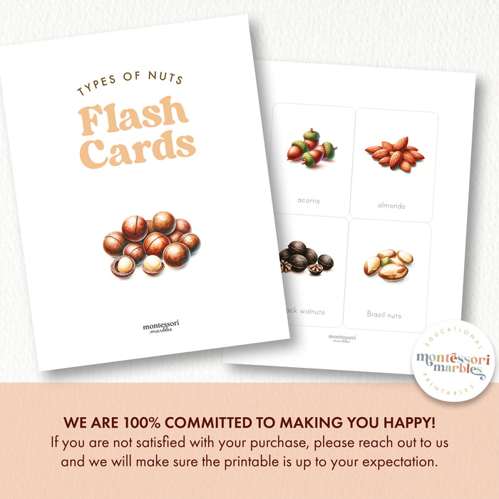 Types of Nuts Flash Cards