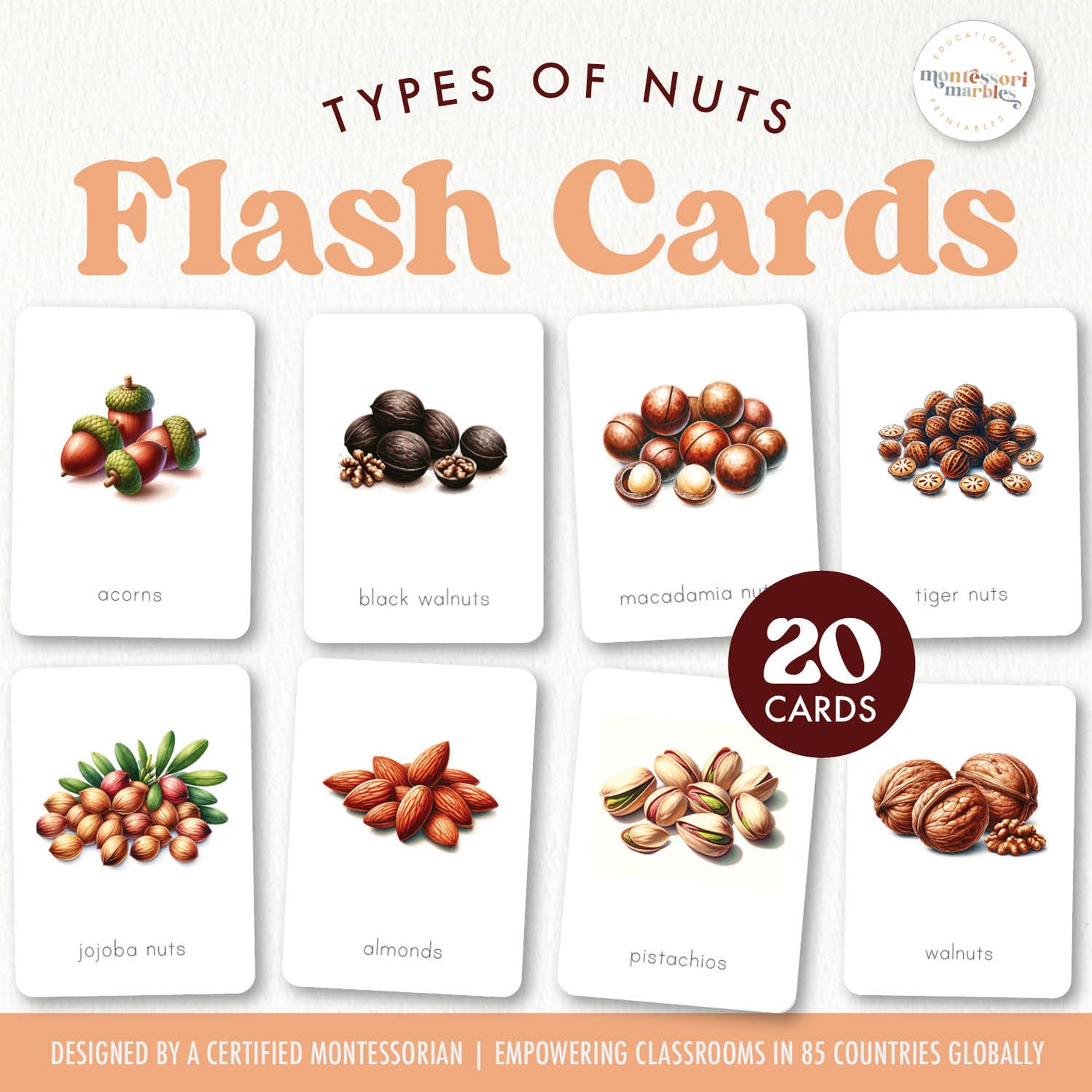 Nuts Flash Cards for Kids | Food Learning Preschool Ages 3-6 ...