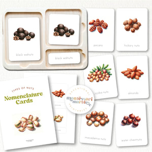 Types of Nuts Nomenclature Cards