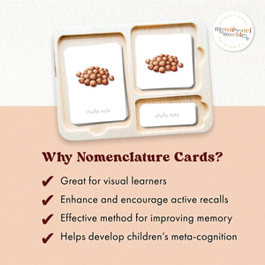 Types of Nuts Nomenclature Cards