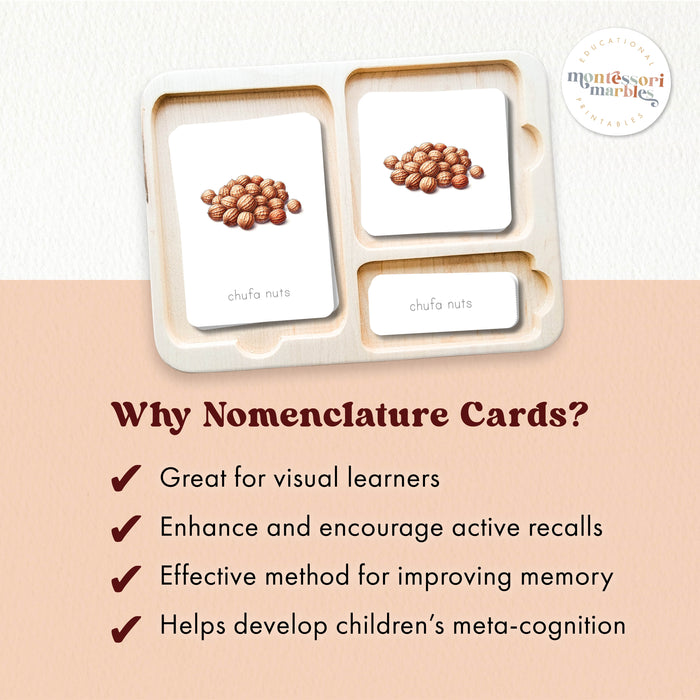Types of Nuts Nomenclature Cards