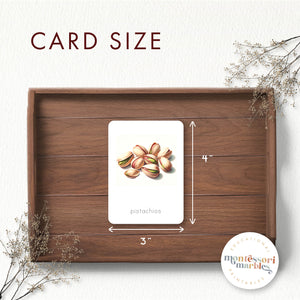Types of Nuts Nomenclature Cards