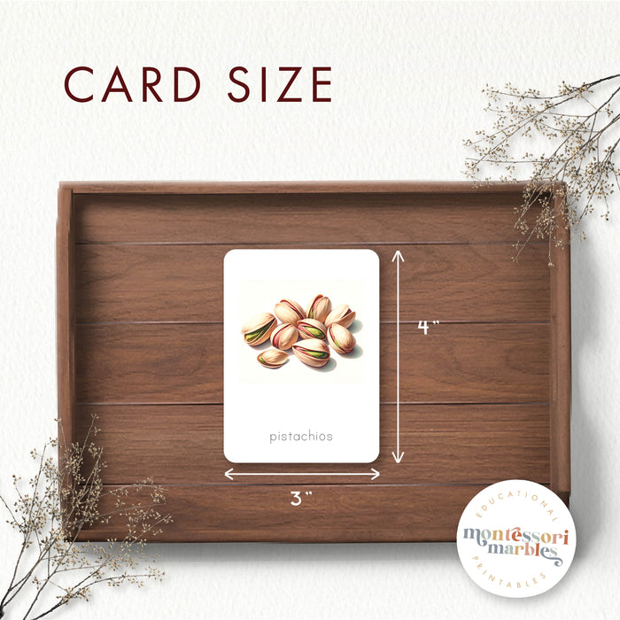 Types of Nuts Nomenclature Cards