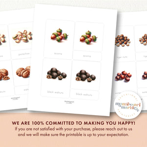 Types of Nuts Nomenclature Cards