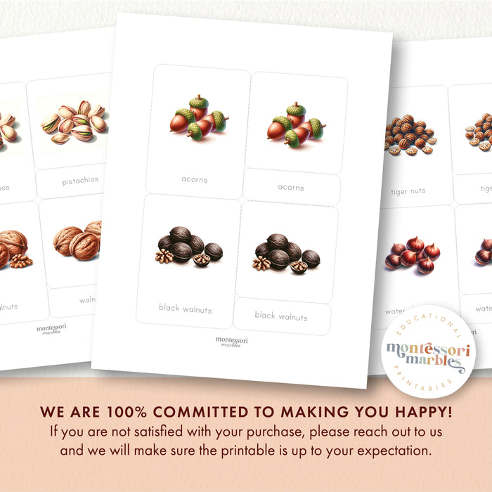 Types of Nuts Nomenclature Cards