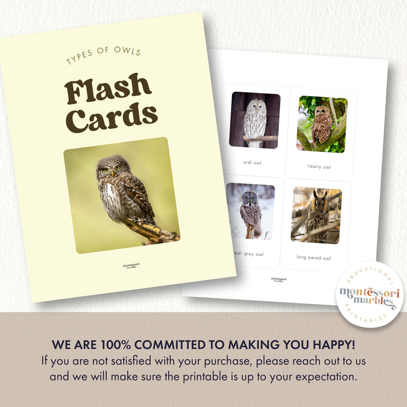 Types of Owls Flash Cards