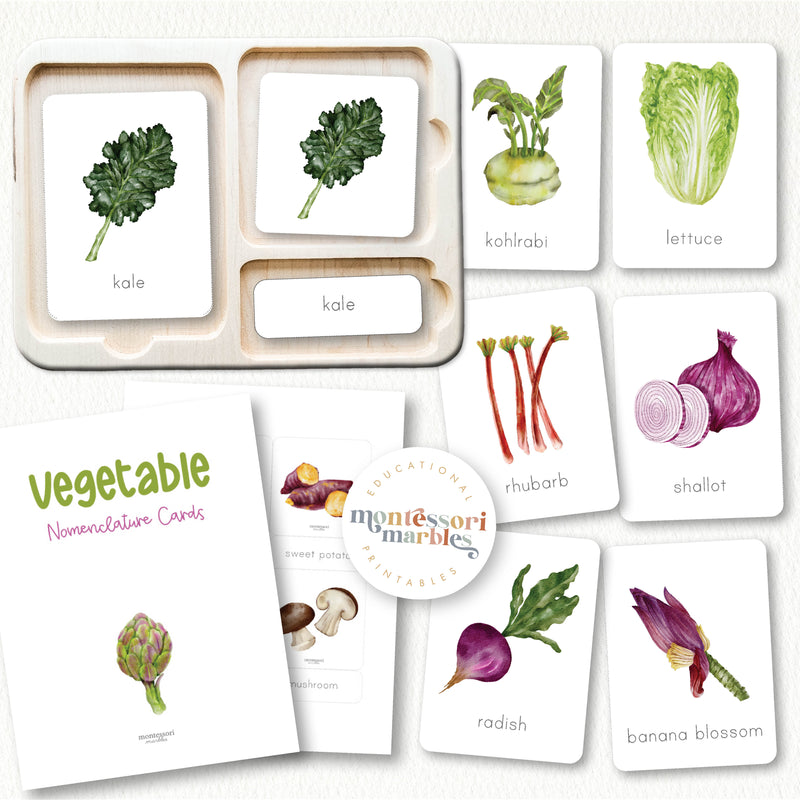Vegetables Nomenclature Cards