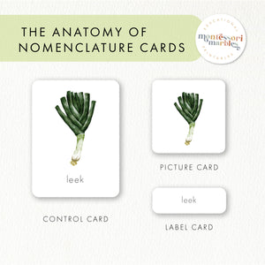 Vegetables Nomenclature Cards