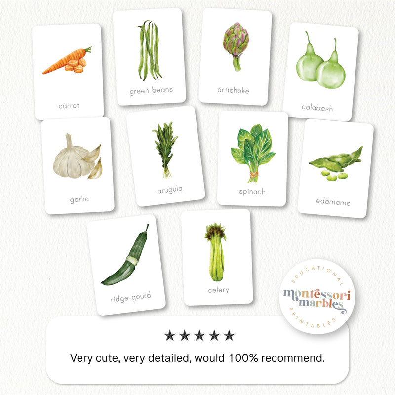 Vegetables Nomenclature Cards