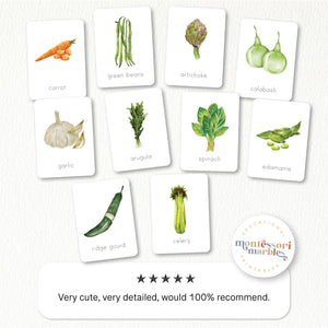 Vegetables Nomenclature Cards