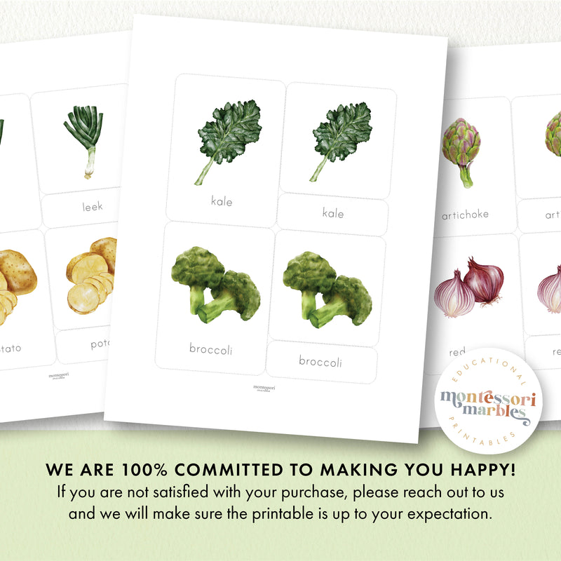 Vegetables Nomenclature Cards