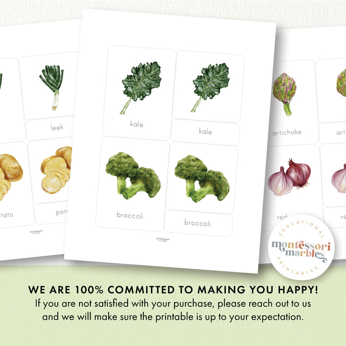 Vegetables Nomenclature Cards