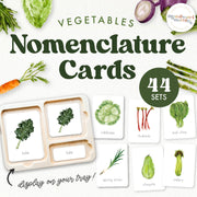 Vegetable nomenclature cards with labeled garden plants—botanical vocabulary study