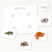 Reptile cards (crocodile snake tortoise chameleon) and amphibian cards (frog salamander axolotl newt) for classification activity