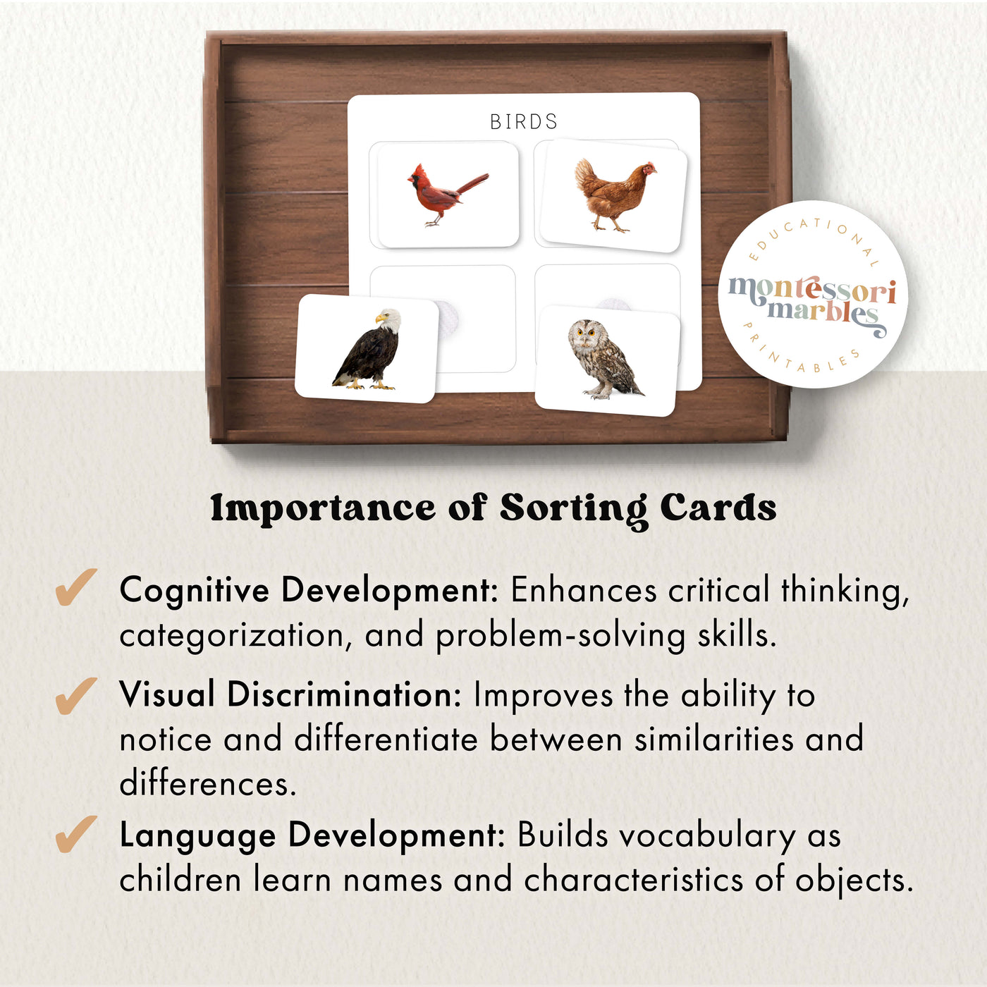 Vertebrates Classification Sorting Cards | Animal Groups Ages 5-9 ...
