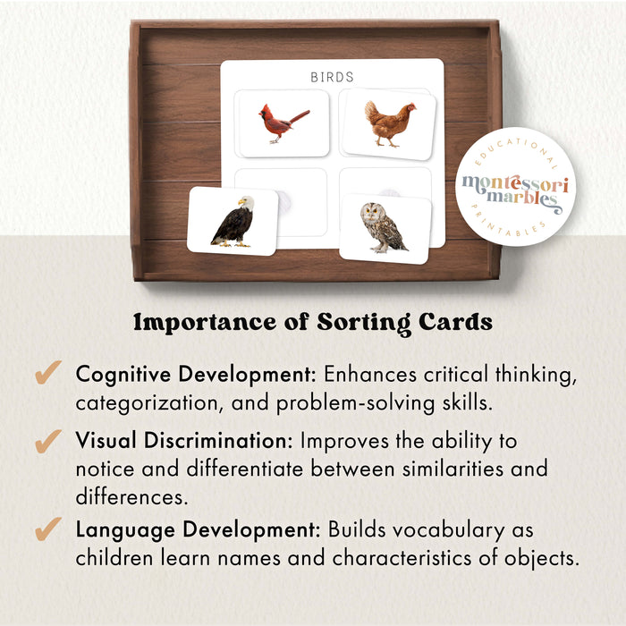 Vertebrate sorting cards showing mammals (cow elephant horse monkey) and birds (cardinal chicken owl eagle)